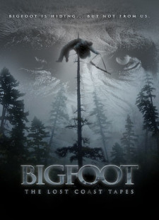 دانلود زیرنویس فارسی  فیلم 2012 Bigfoot: The Lost Coast Tapes