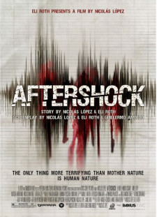 دانلود زیرنویس فارسی  فیلم 2013 Aftershock