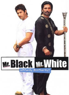 دانلود زیرنویس فارسی  فیلم 2008 Mr. White Mr. Black