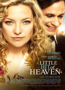 دانلود زیرنویس فارسی  فیلم 2011 A Little Bit of Heaven