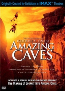 دانلود زیرنویس فارسی  فیلم 2001 Journey Into Amazing Caves