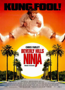 دانلود زیرنویس فارسی  فیلم 1997 Beverly Hills Ninja