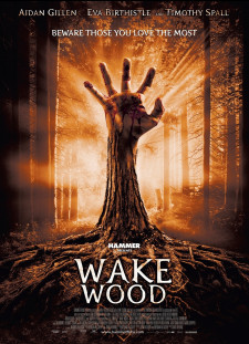 دانلود زیرنویس فارسی  فیلم 2011 Wake Wood