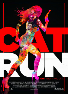 دانلود زیرنویس فارسی  فیلم 2011 Cat Run