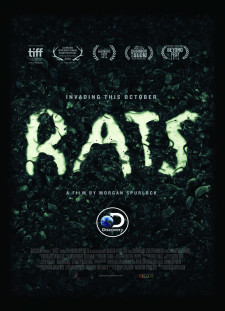 دانلود زیرنویس فارسی  فیلم 2016 Rats