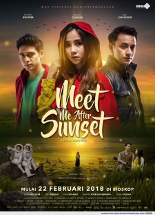 دانلود زیرنویس فارسی  فیلم 2018 Meet Me After Sunset