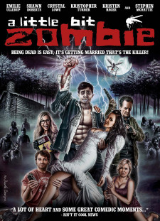 دانلود زیرنویس فارسی  فیلم 2013 A Little Bit Zombie