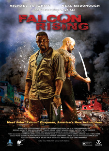 دانلود زیرنویس فارسی  فیلم 2014 Falcon Rising