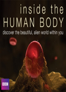 دانلود زیرنویس فارسی  سریال 2011 Inside the Human Body