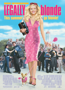 دانلود زیرنویس فارسی  فیلم 2001 Legally Blonde