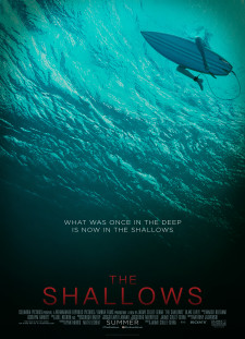 دانلود زیرنویس فارسی  فیلم 2016 The Shallows