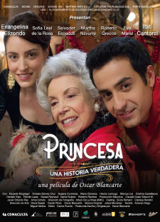 دانلود زیرنویس فارسی  فیلم 2018 Princesa, una historia verdadera