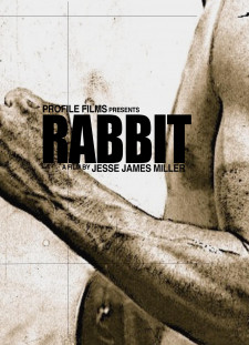 دانلود زیرنویس فارسی  فیلم 2018 Rabbit