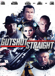 دانلود زیرنویس فارسی  فیلم 2014 Gutshot Straight