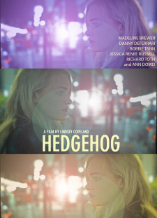 دانلود زیرنویس فارسی  فیلم 2017 Hedgehog