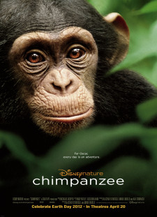 دانلود زیرنویس فارسی  فیلم 2012 Chimpanzee
