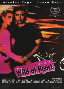 دانلود زیرنویس فارسی  فیلم 1990 Wild at Heart