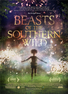 دانلود زیرنویس فارسی  فیلم 2012 Beasts of the Southern Wild