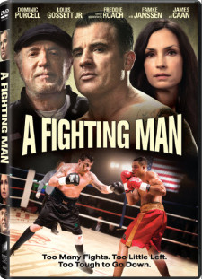 دانلود زیرنویس فارسی  فیلم 2014 A Fighting Man