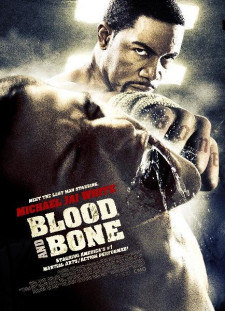 دانلود زیرنویس فارسی  فیلم 2009 Blood and Bone