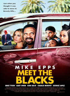 دانلود زیرنویس فارسی  فیلم 2016 Meet the Blacks
