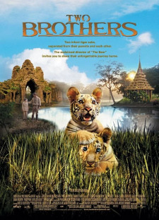 دانلود زیرنویس فارسی  فیلم 2004 Deux frères