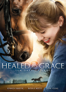 دانلود زیرنویس فارسی  فیلم 2018 Healed by Grace 2