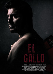 دانلود زیرنویس فارسی  فیلم 2018 El Gallo