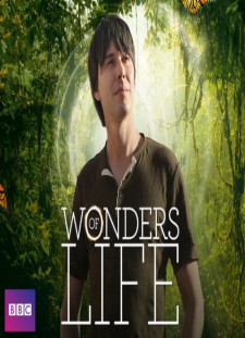 دانلود زیرنویس فارسی  سریال 2013 Wonders of Life