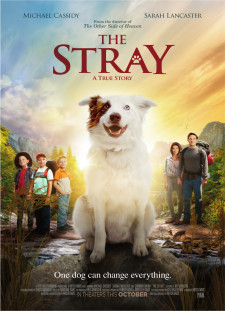 دانلود زیرنویس فارسی  فیلم 2017 The Stray