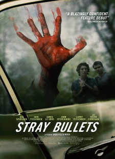 دانلود زیرنویس فارسی  فیلم 2016 Stray Bullets