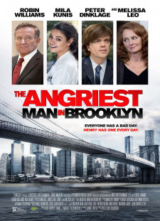 دانلود زیرنویس فارسی  فیلم 2014 The Angriest Man in Brooklyn