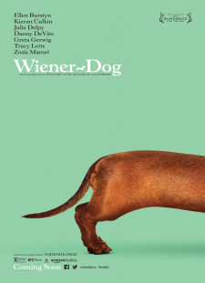 دانلود زیرنویس فارسی  فیلم 2016 Wiener-Dog