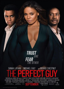 دانلود زیرنویس فارسی  فیلم 2015 The Perfect Guy