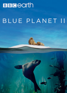 دانلود زیرنویس فارسی  سریال 2017 Blue Planet II