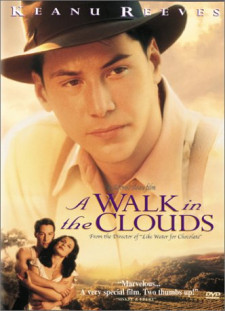 دانلود زیرنویس فارسی  فیلم 1995 A Walk in the Clouds