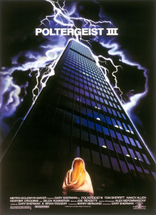 دانلود زیرنویس فارسی  فیلم 1988 Poltergeist III