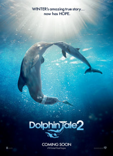 دانلود زیرنویس فارسی  فیلم 2014 Dolphin Tale 2
