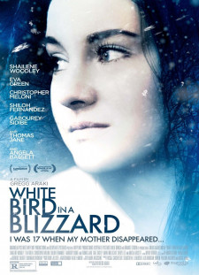 دانلود زیرنویس فارسی  فیلم 2014 White Bird in a Blizzard