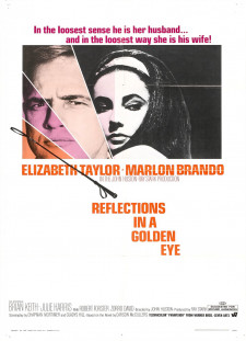 دانلود زیرنویس فارسی  فیلم 1967 Reflections in a Golden Eye