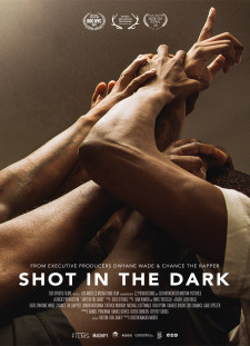 دانلود زیرنویس فارسی  فیلم 2017 Shot in the Dark