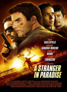 دانلود زیرنویس فارسی  فیلم 2013 A Stranger in Paradise