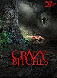 دانلود زیرنویس فارسی  فیلم 2014 Crazy Bitches