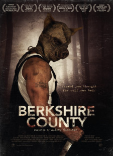 دانلود زیرنویس فارسی  فیلم 2016 Berkshire County