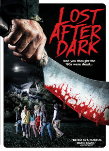 دانلود زیرنویس فارسی  فیلم 2015 Lost After Dark