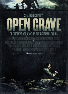 دانلود زیرنویس فارسی  فیلم 2013 Open Grave