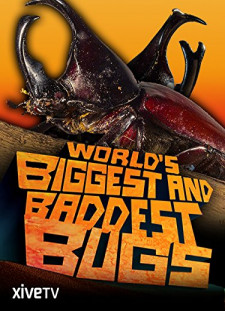 دانلود زیرنویس فارسی  CreativeWork 2009 World's Biggest and Baddest Bugs