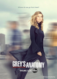 دانلود زیرنویس فارسی  سریال 2005 Grey's Anatomy