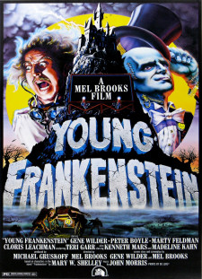 دانلود زیرنویس فارسی  فیلم 1974 Young Frankenstein