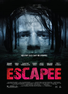 دانلود زیرنویس فارسی  فیلم 2011 Escapee